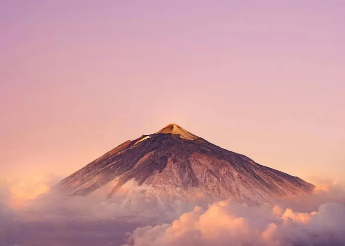 Apartment Eden Elite Palace Costa Adeje (Tenerife)